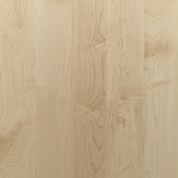 2 1/4" Maple Prefinished Solid Hardwood Flooring at Wholesale Prices